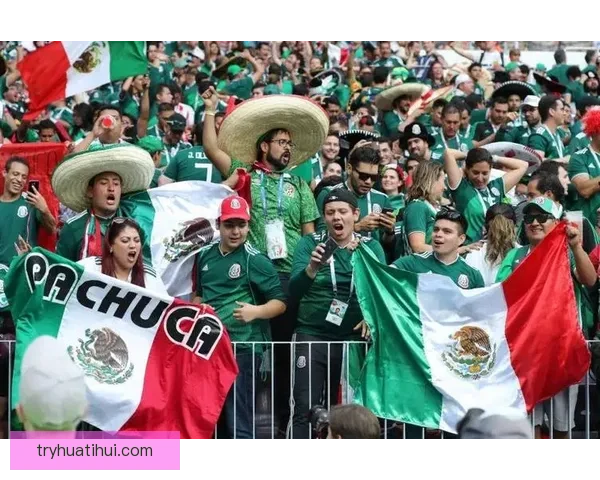 美加墨世界杯赛场精彩瞬观全球足球盛事盛况与激情碰撞